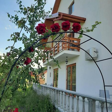 Pensiunea Agroturistica Green Odoba Sătuc エクステリア 写真