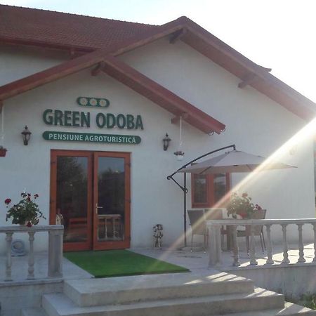 Pensiunea Agroturistica Green Odoba Sătuc エクステリア 写真