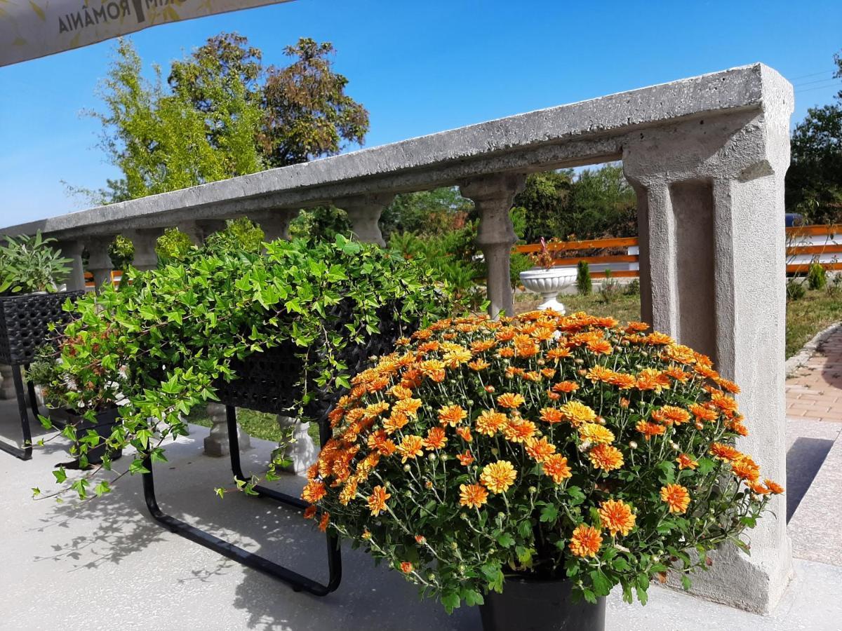 Pensiunea Agroturistica Green Odoba Sătuc エクステリア 写真