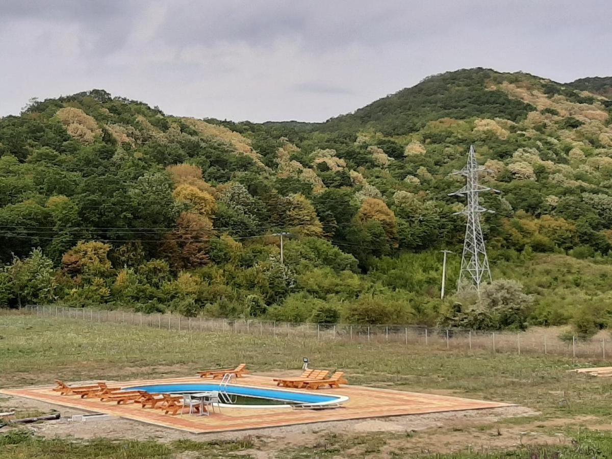 Pensiunea Agroturistica Green Odoba Sătuc エクステリア 写真