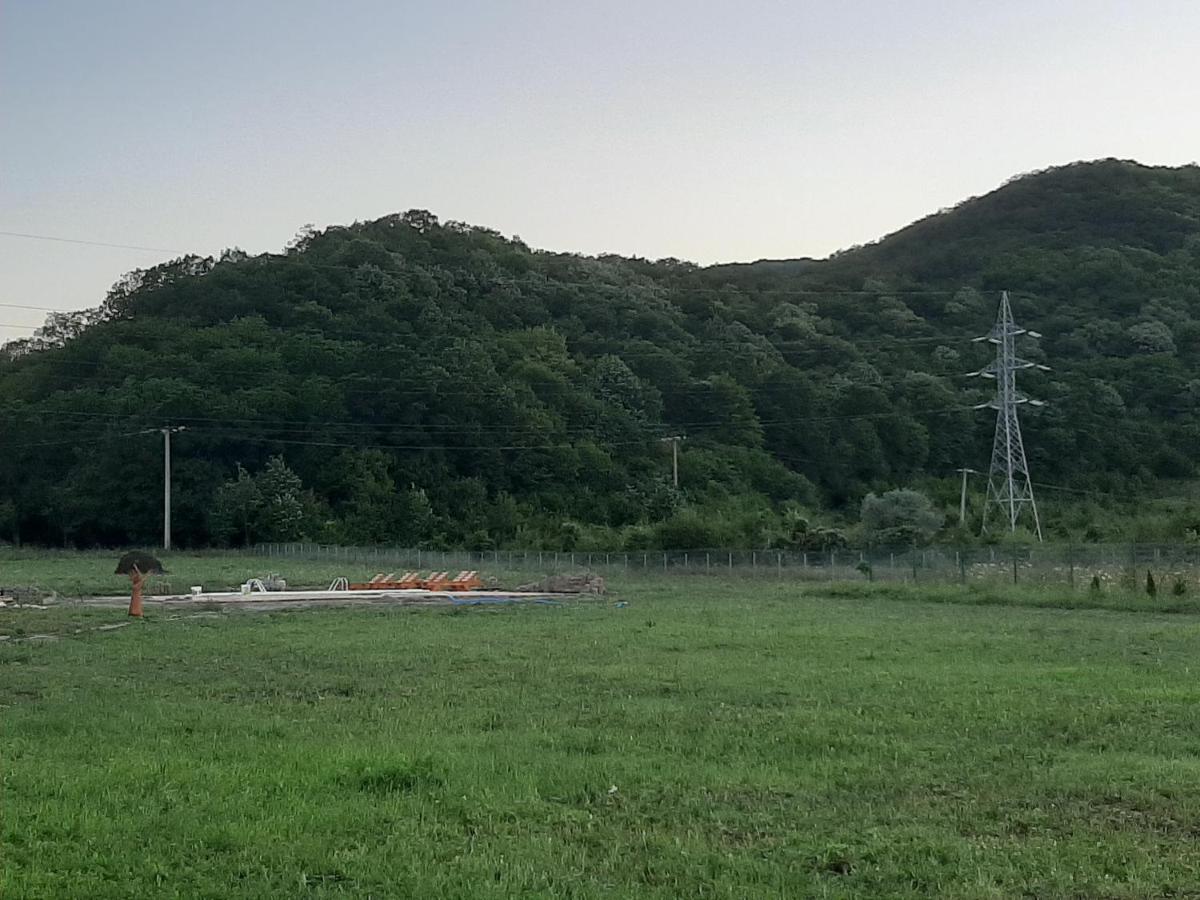 Pensiunea Agroturistica Green Odoba Sătuc エクステリア 写真