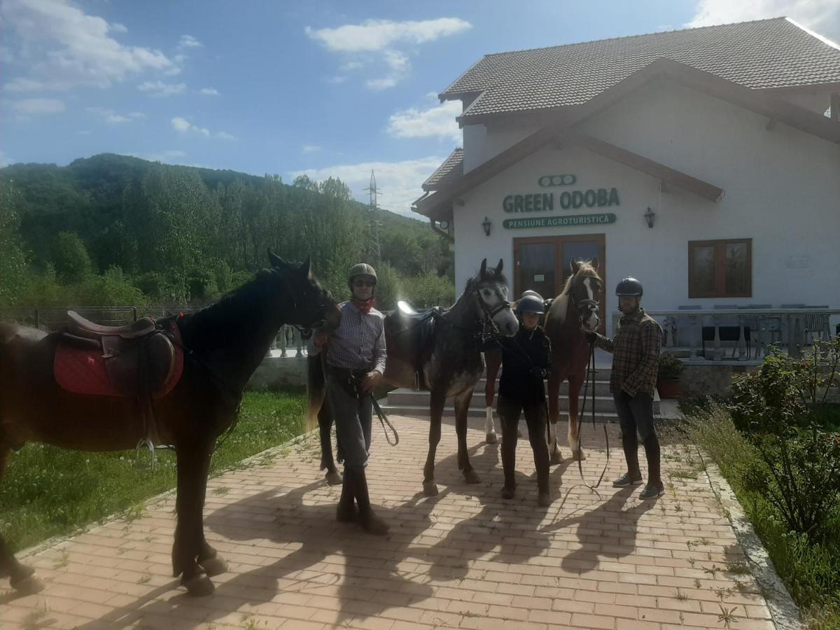 Pensiunea Agroturistica Green Odoba Sătuc エクステリア 写真