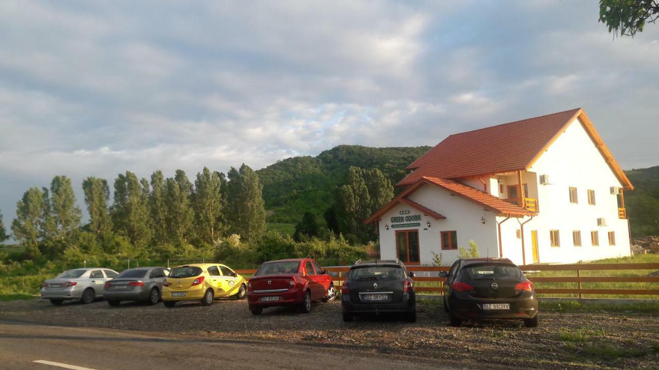 Pensiunea Agroturistica Green Odoba Sătuc エクステリア 写真
