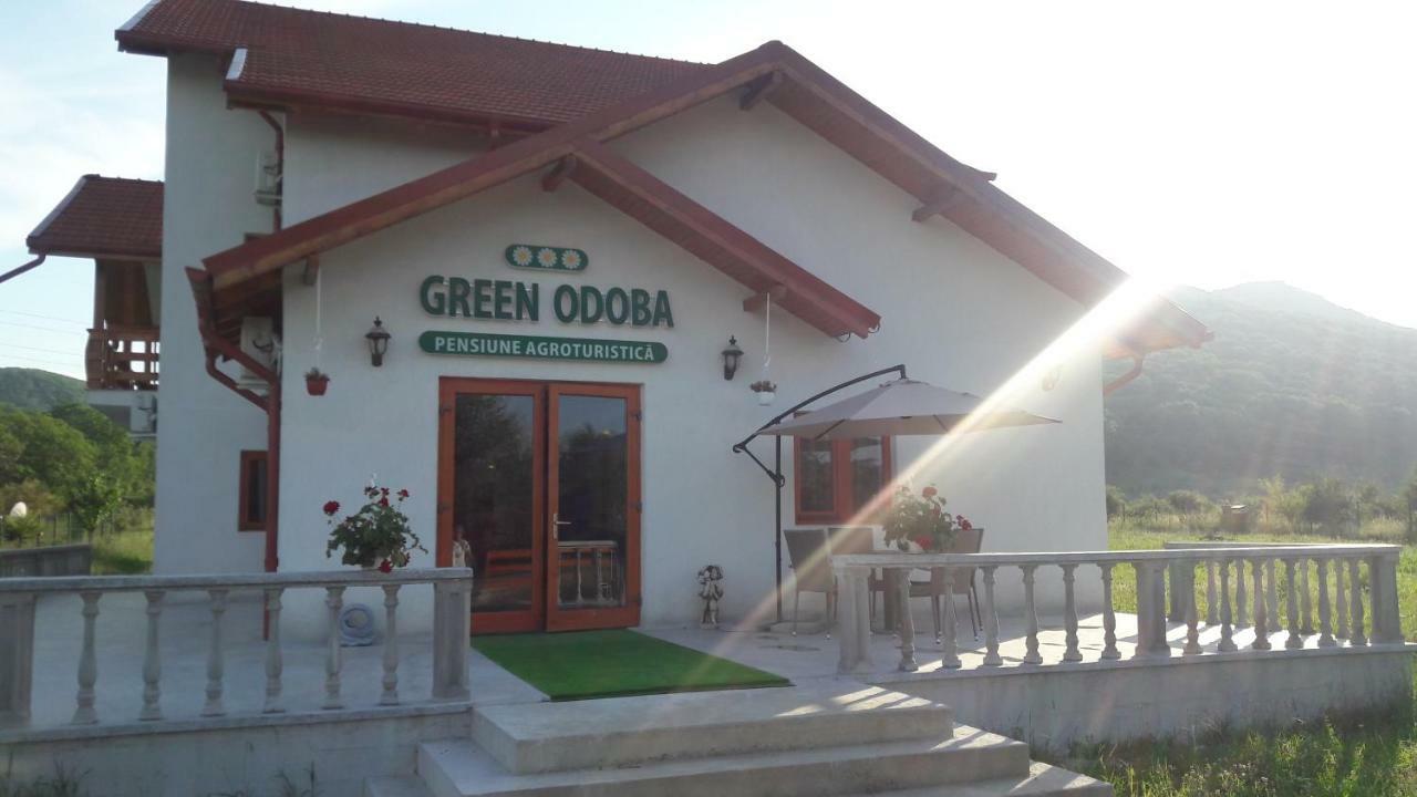 Pensiunea Agroturistica Green Odoba Sătuc エクステリア 写真