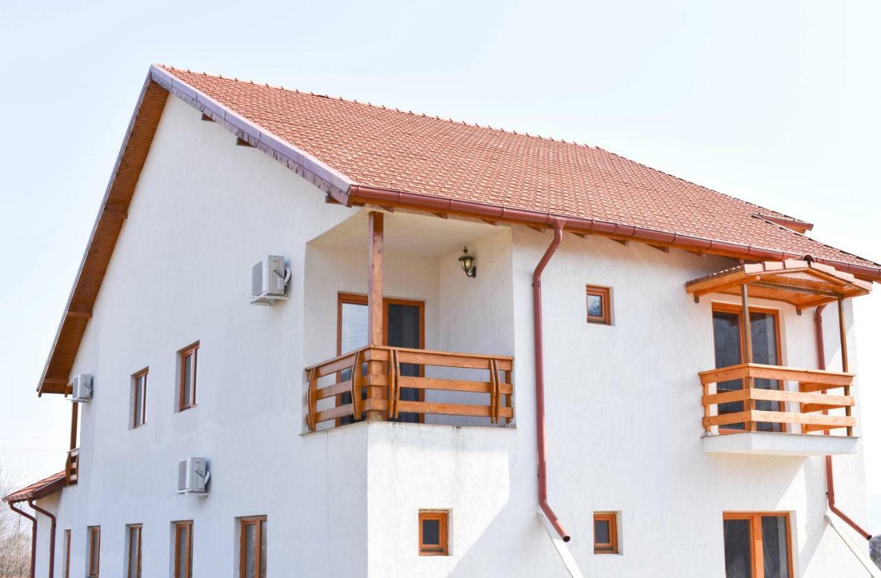 Pensiunea Agroturistica Green Odoba Sătuc エクステリア 写真
