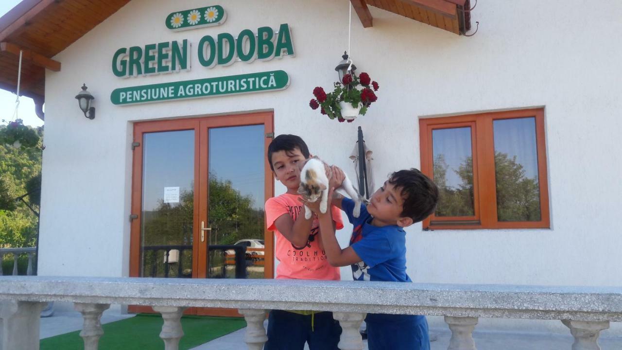 Pensiunea Agroturistica Green Odoba Sătuc エクステリア 写真